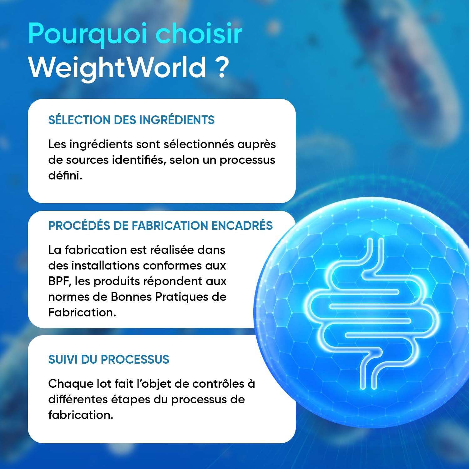 Probiotique Flore Intestinale 77 Milliards d'UFC - 20 Souches, Probiotiques et Prébiotiques Lactobacillus Gasseri, Lactobacillus Rhamnosus, Bifidobacterium, Inuline, FOS, 60 Gélules Vegan sans Gluten