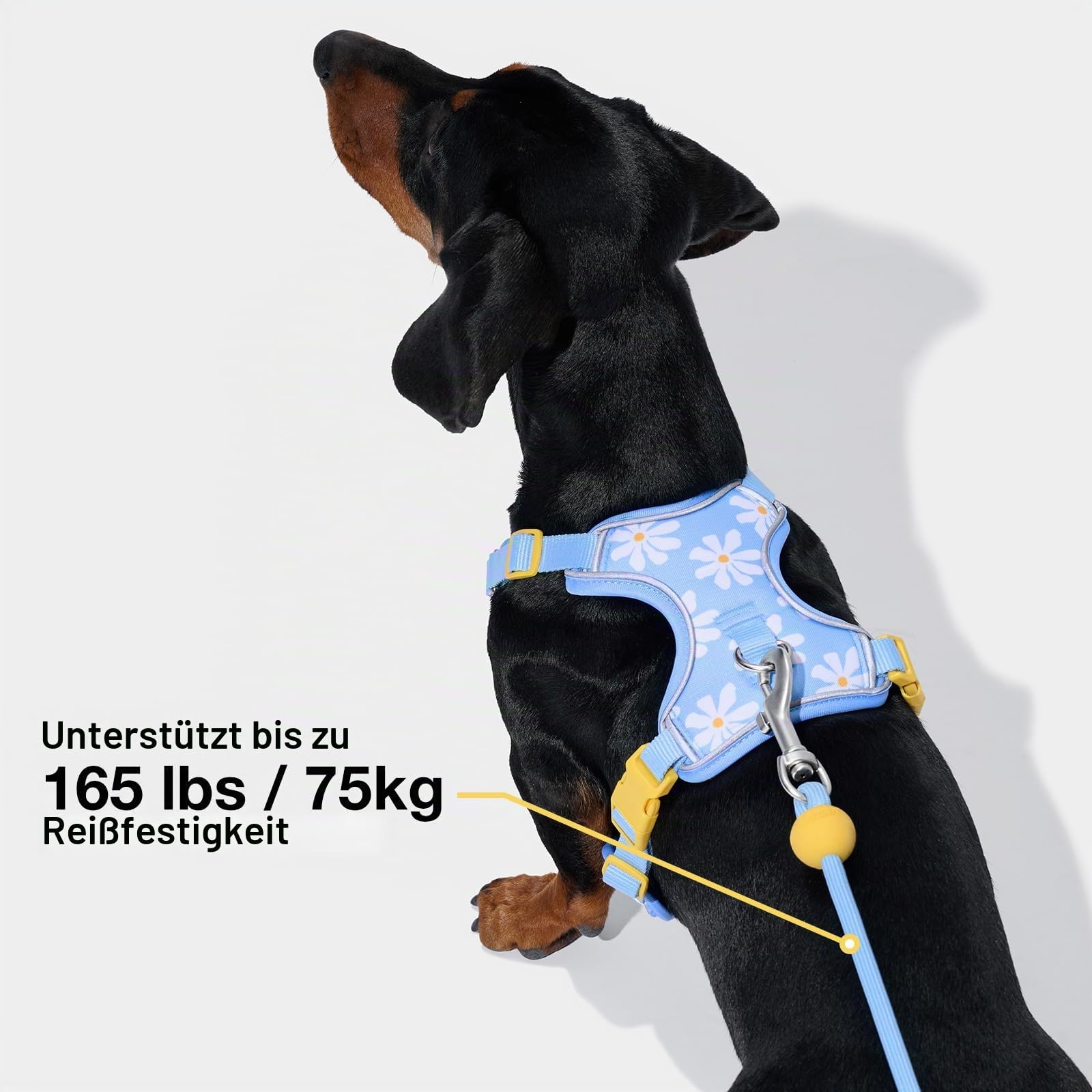 VETRESKA Freihand-Hundeleine, 1,5 m, verstellbare Seilleine für kleine, mittelgroße Hunde, multifunktionale Leine zum Spazierengehen, kein Ziehen, mit Beutelspender, 2-in-1-Spaziergang-Set (Daisy)