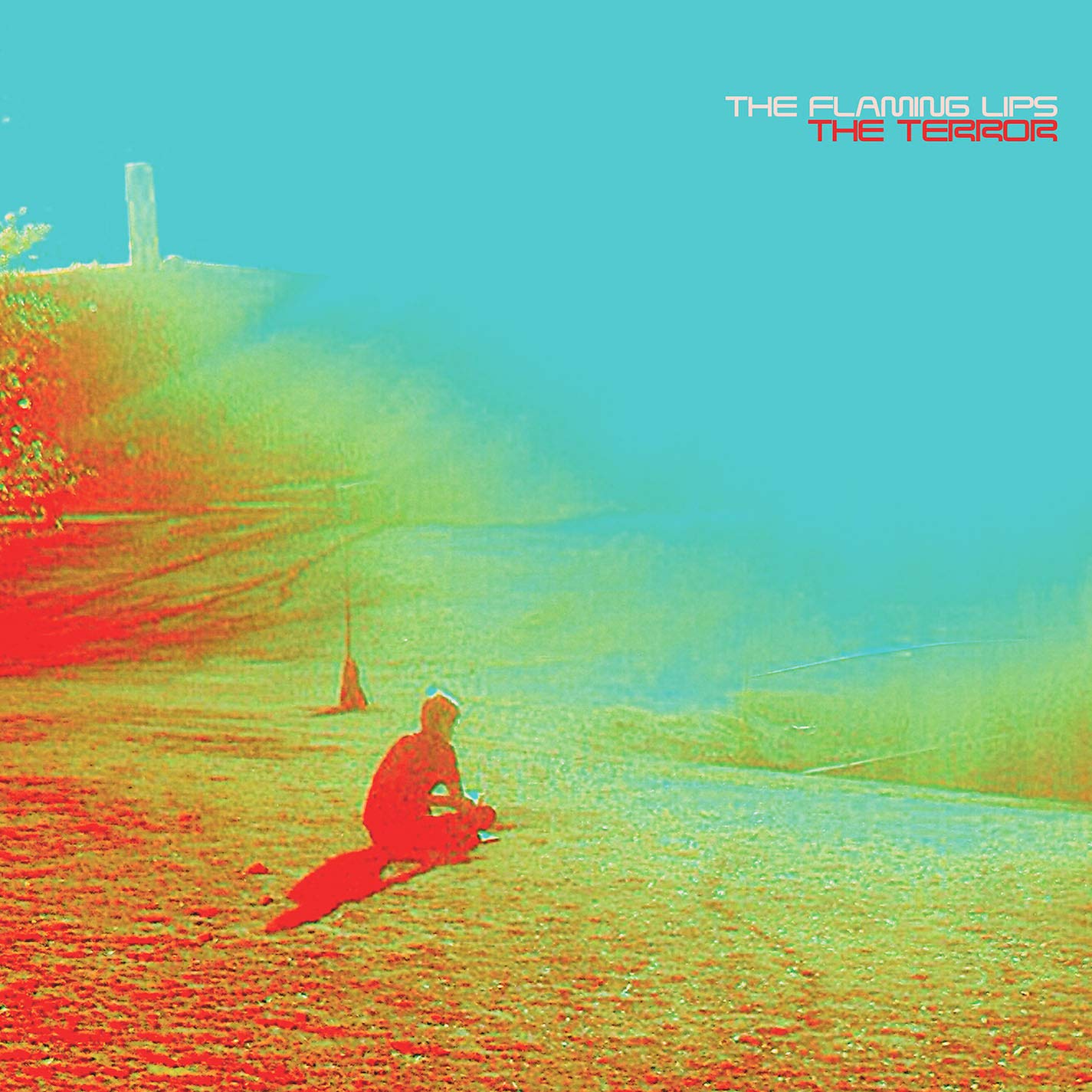 The Terror [Audio CD] The Flaming Lips