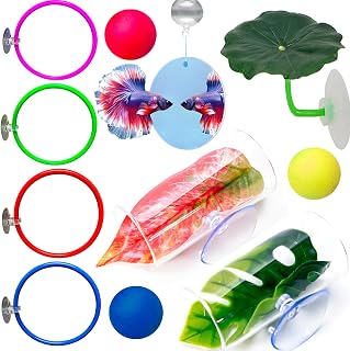 Fejapa betta enrichment set with floating mirror, balls, rings, plant, and tunnels