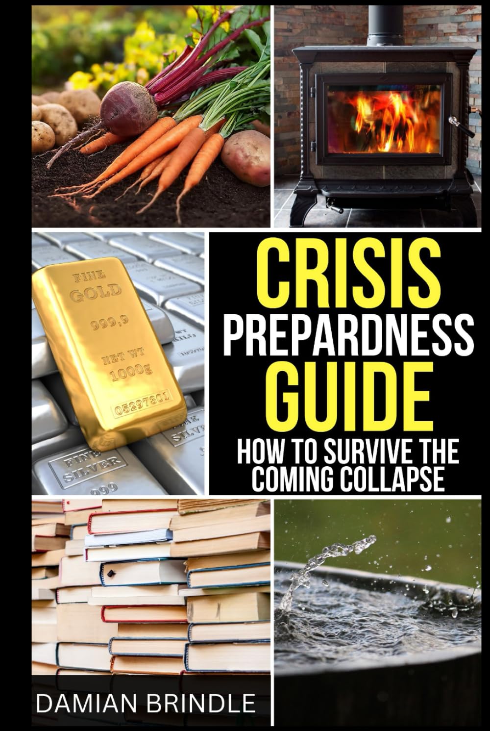 Crisis Preparedness Guide: How to Survive the Coming Collapse (The Survival Collection)