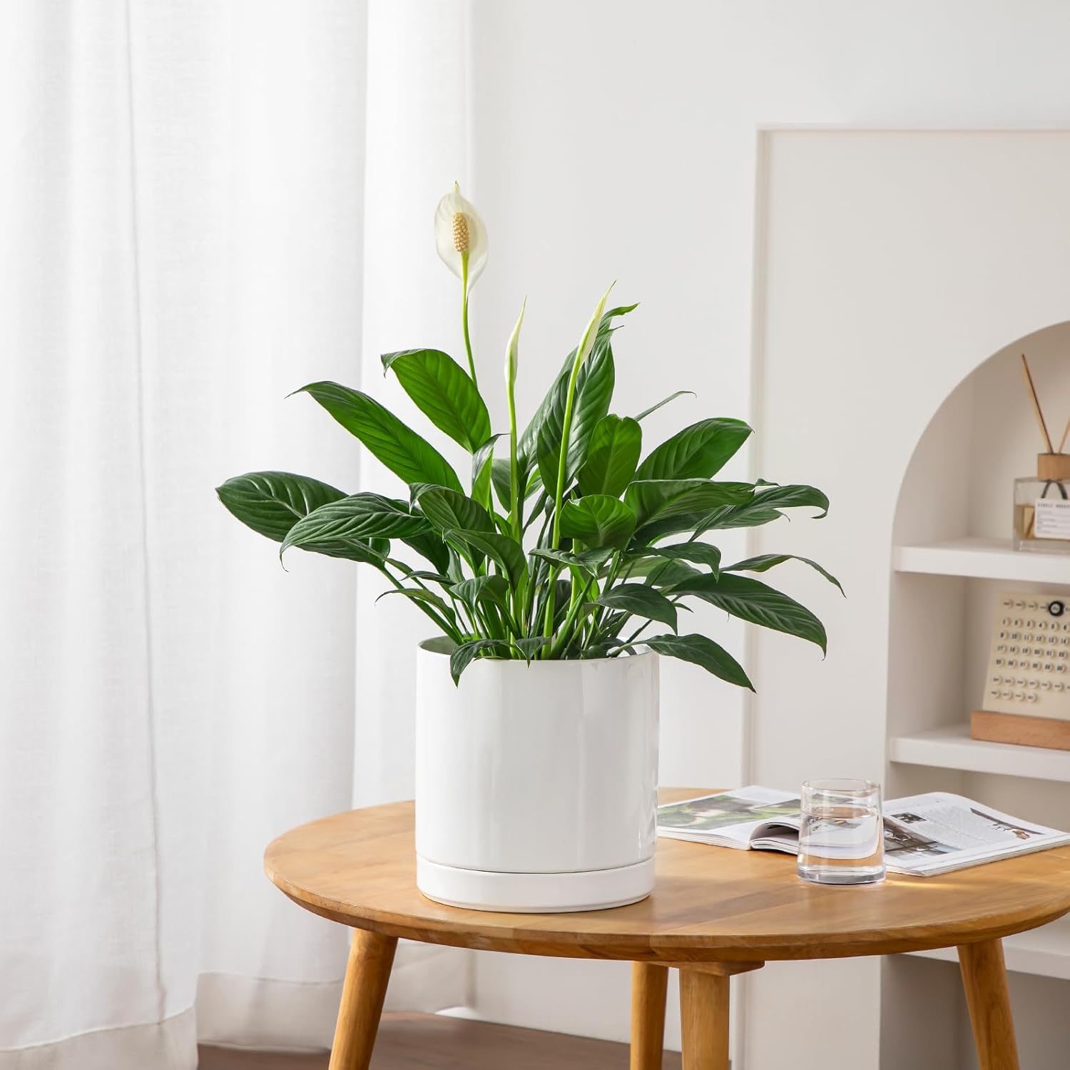 vancasso Ceramic Plant Pots, 8.25 Inch Ceramic Pot for Plants, Planters Pots for Indoor Plants with Drainage Holes, Flower Pot for Indoor House Plant, White - Image 7