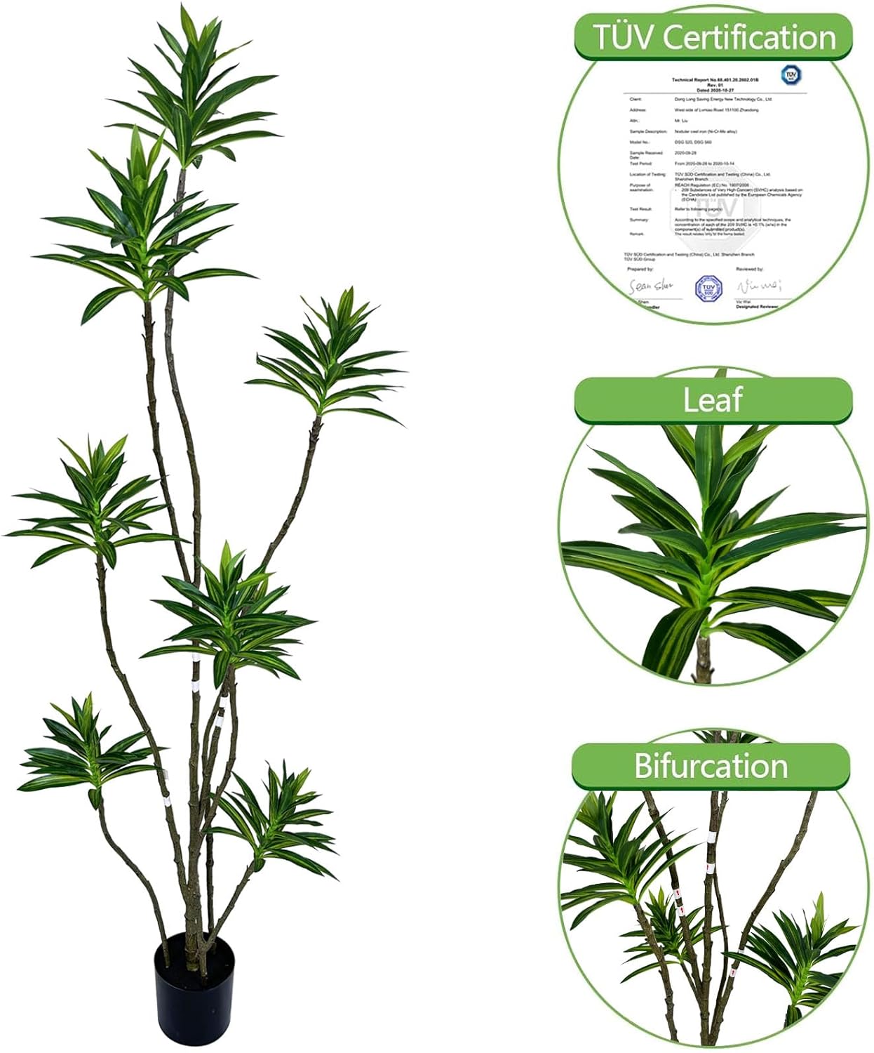 Artificial Lily Bamboo Tree 6FT – Lifelike Faux Bamboo Plant with Realistic Leaves, Indoor Decorative Floor Plant for Home, Office, Living Room, Commercial Spaces - Image 3