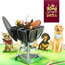 Liif King Of Grill Fathers Day Card, 3D Funny Fathers Day Pop Up Card, Funny Birthday Card For Dad, Men, Husband, Chef, Him, Grandfather, Dog Dad | With Message Note & Envelop King Of Grill