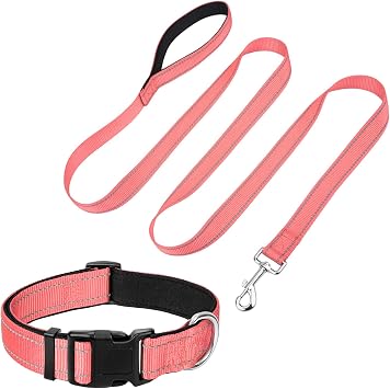 Reflective 6FT Dog Leash and 12"-19" Dog Collar Set, Soft Padded Basic Collar and Padded Handle Leash for Medium Dogs
