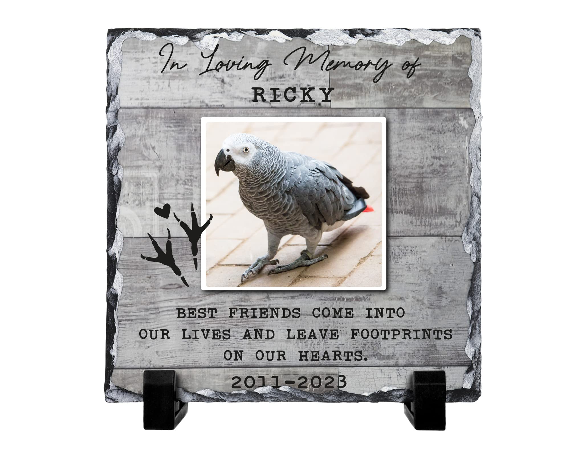 Shopagift Personalised Loving Memory, Pet Loss, Parrot Remembrance Keepsake Memorial, Pet Owner Custom Rock Slate Photo Gift with Stand 15cm Square