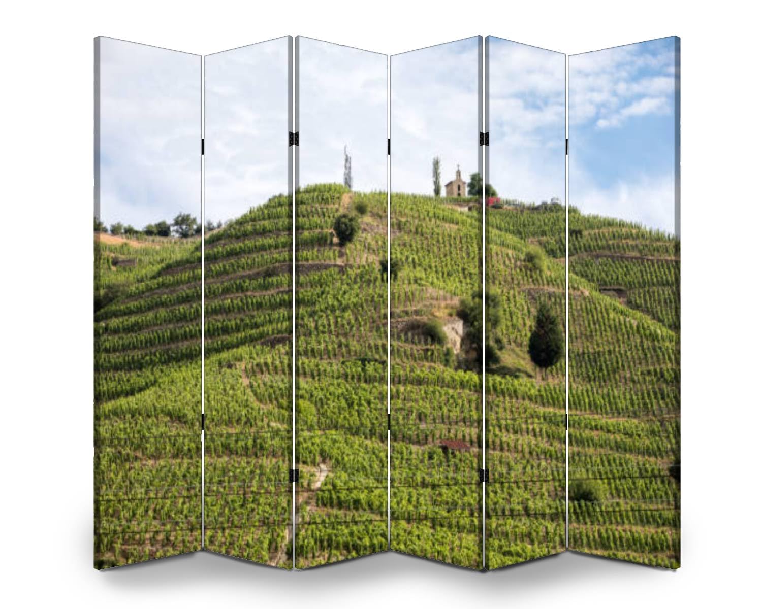 6 Panels Screen Room Divider View M Chapoutier Crozes Hermitage Vineyards Tain lHermitage Valley Canvas Screen Indoor Folding Separator Freestanding Protective Wall Divider Privacy Partition