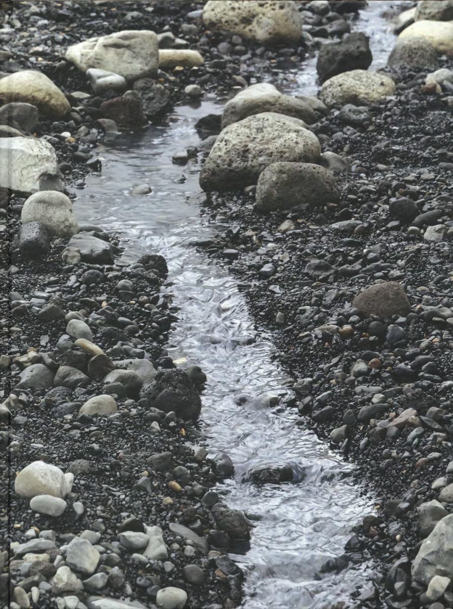 Olafur Eliasson: Riverbed Hardcover – Import, 10 December 2015