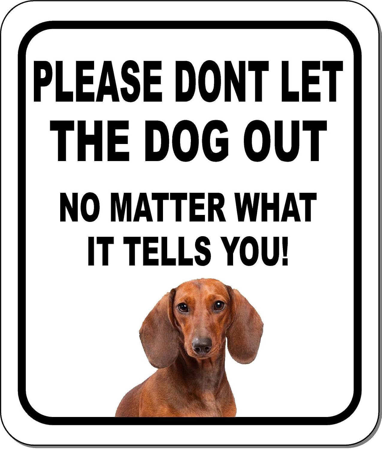 PLEASE DONT LET THE DOG OUT NO MATTER WHAT Dachshund Aluminum Composite Outdoor Sign 20" x24"