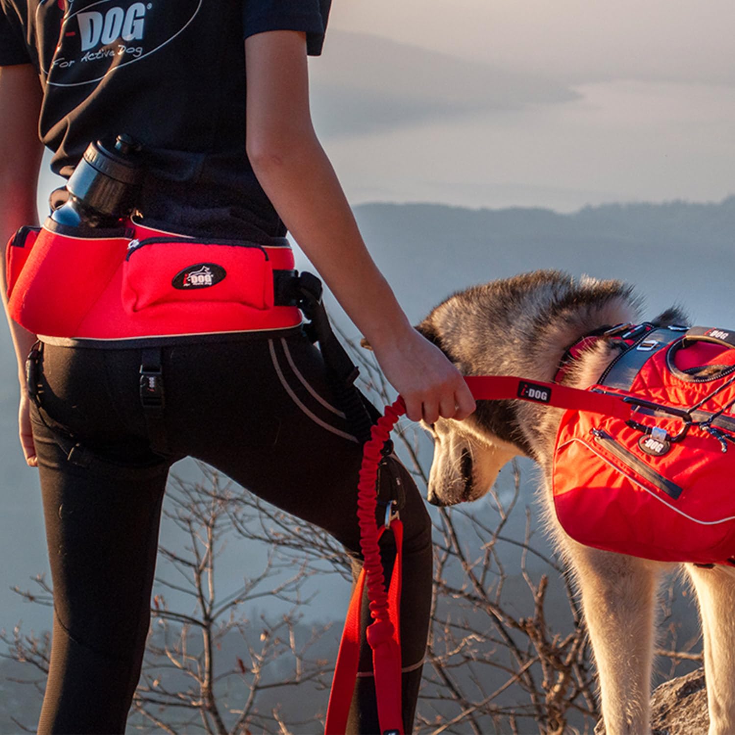 Baudrier Ceinture Confort Trek I-DOG (Marque Française) canicross, cani randonnée, cani Jogging, cani Trail, Utilisation Sportive ou Loisirs pour Courir avec Son Chien, Taille Unique - Rouge