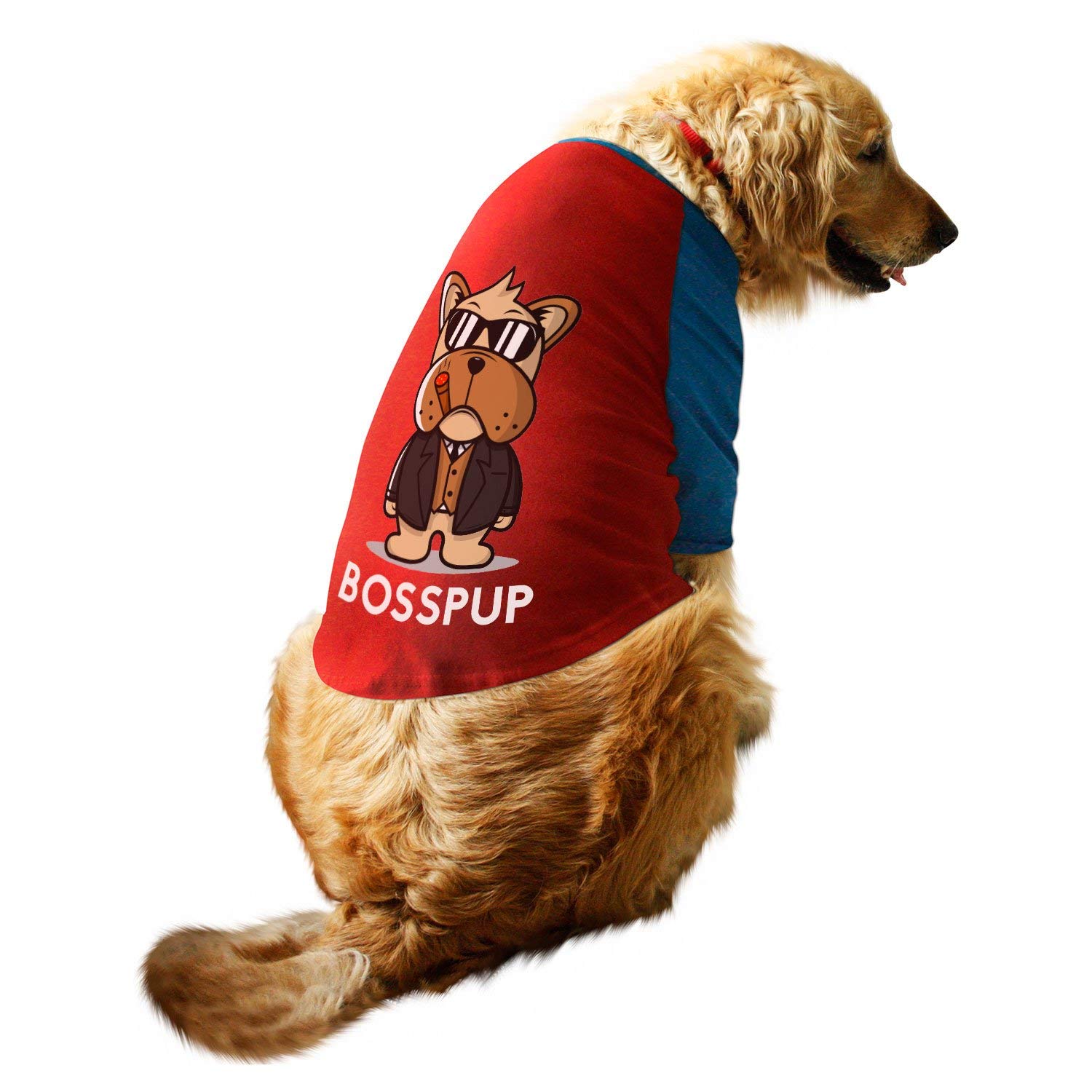 See full amazon price history chart for Ruse. Pet Clothes Boss pup Printed Full Sleeves Round Neck Raglan Dog Streetwear T-Shirt/Tees Apparel for Dogs | Red/Royal Blue/Large (Full Grown Desi/Stray, Doberman etc.) Doberman etc. Ruse. Pet Clothes Boss pup Printed Full Sleeves Round Neck Raglan Dog Streetwear T-Shirt/Tees Apparel for Dogs | Red/Royal Blue/Large (Full Grown Desi/Stray, Doberman etc.) Doberman etc. (B07T3KGS7X) Amazon Price History, Amazon Price Tracker