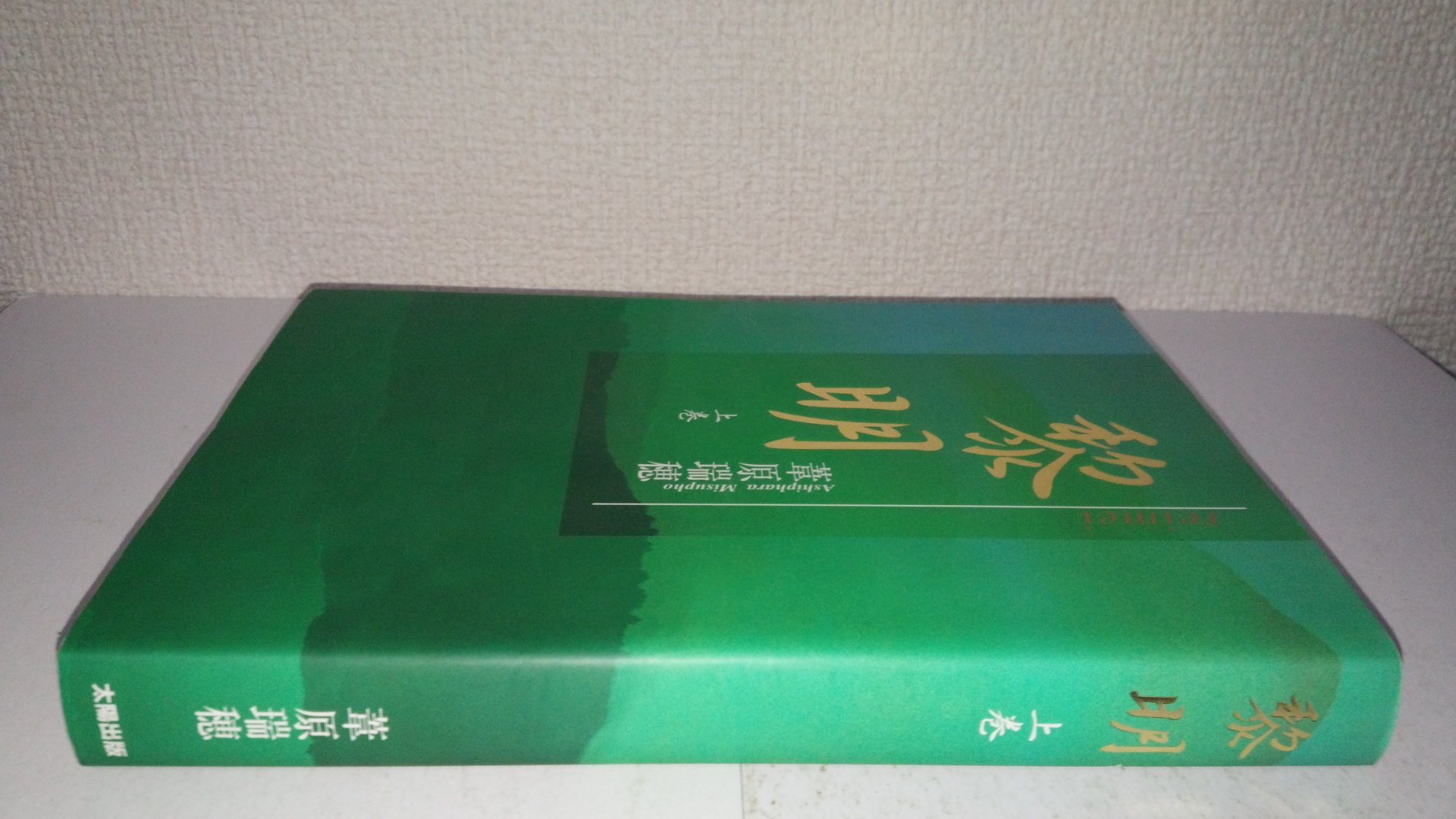 Amazon.co.jp: 葦原 瑞穂: 本、バイオグラフィー、最新アップデート