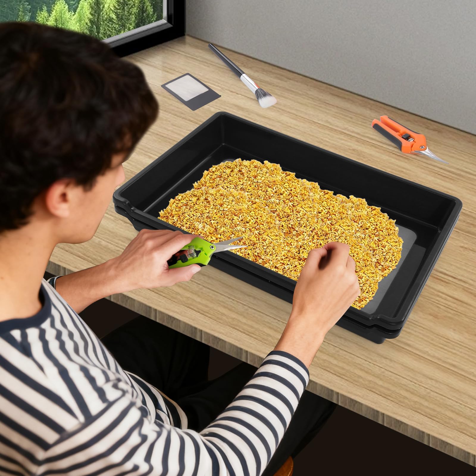 Taca do trymowania, z siatką ze stali nierdzewnej 150 µm, sitko na pyłki z zakrzywionym ostrzem, nożyczki, mapa powiększająca i szczotka, akcesoria do różnych ziół (czarna)