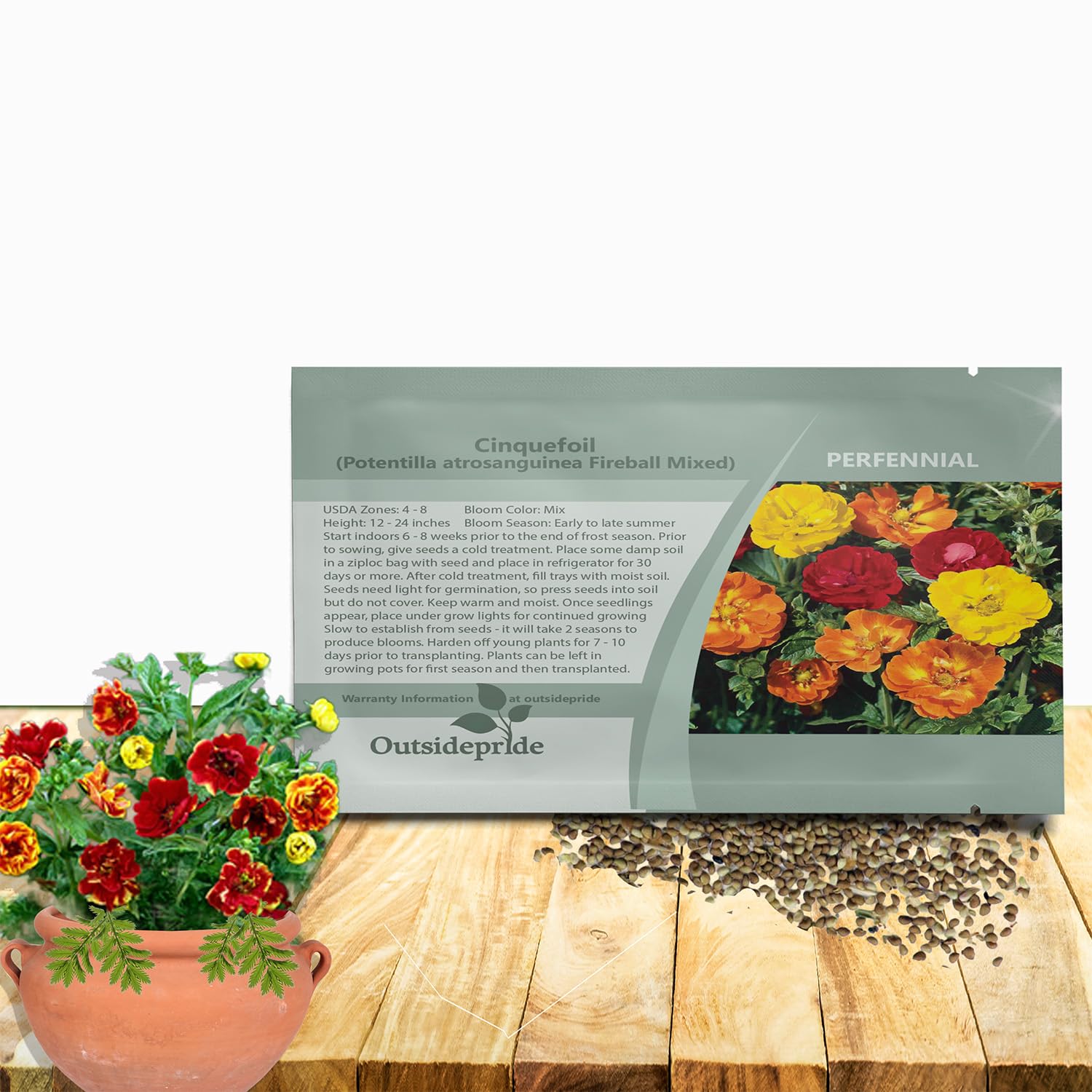 Amazon.com : Outsidepride Cinquefoil Fireball Mix Potentilla Seeds