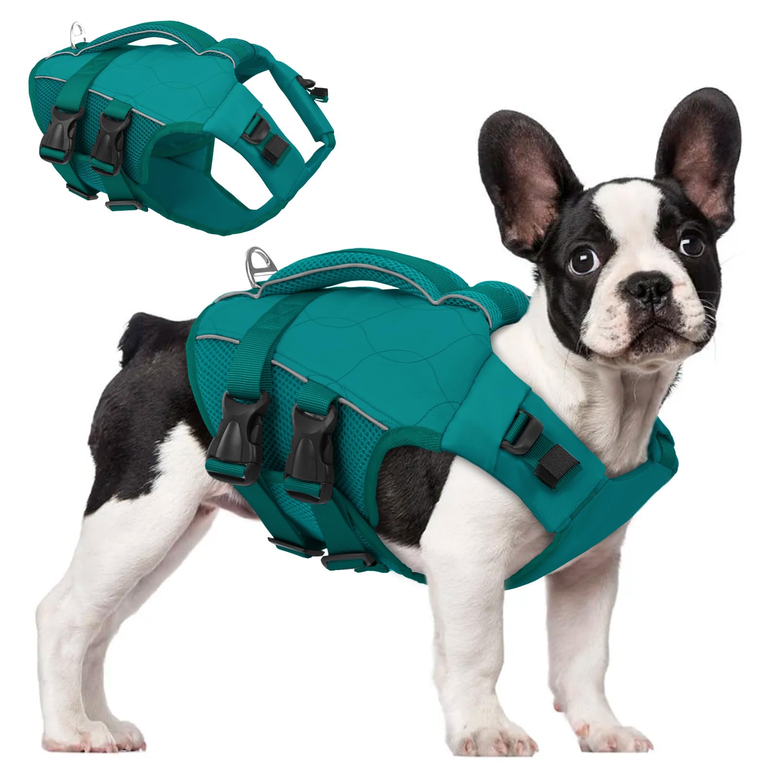 ASENKU Giubbotto Salvagente per Cani, Salvagente per Cane Piccoli, Medi e Grandi, Giubbotto con Maniglia di Salvataggio, Cinture Regolabili e Riflettenti, Ideale per Spiaggia, Piscina, Barca, Kayak M