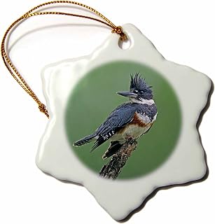3dRose orn_94385_1 Texas, Rio Grande Valley, Belted Kingfisher Bird-Us44 Bja0107-Jaynes Gallery-Snowflake Ornament, 3-Inch, Porcelain