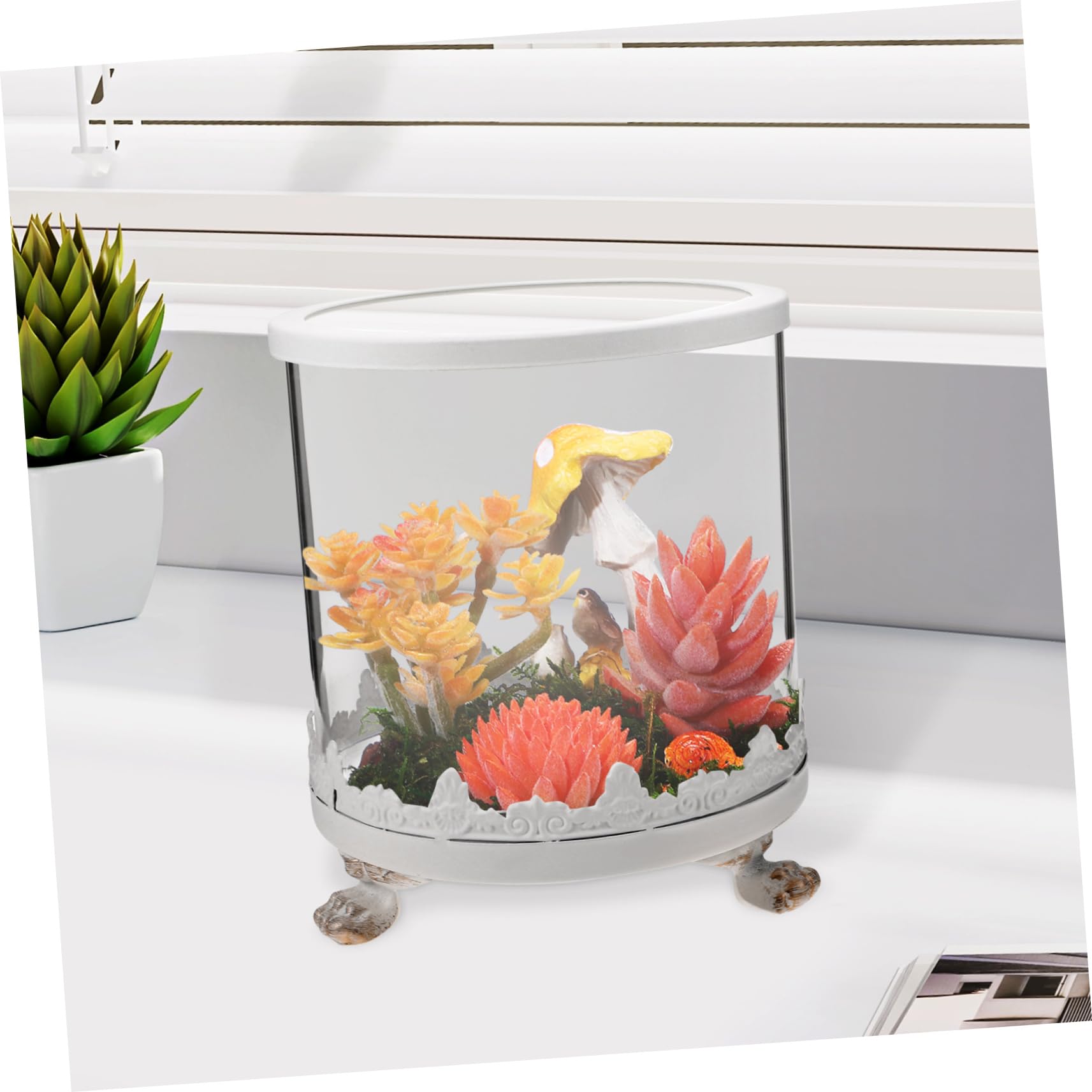 GRIRIW Glass Cloche Dome Matches Cloche Display Cases for Collections Glass Domes for Display