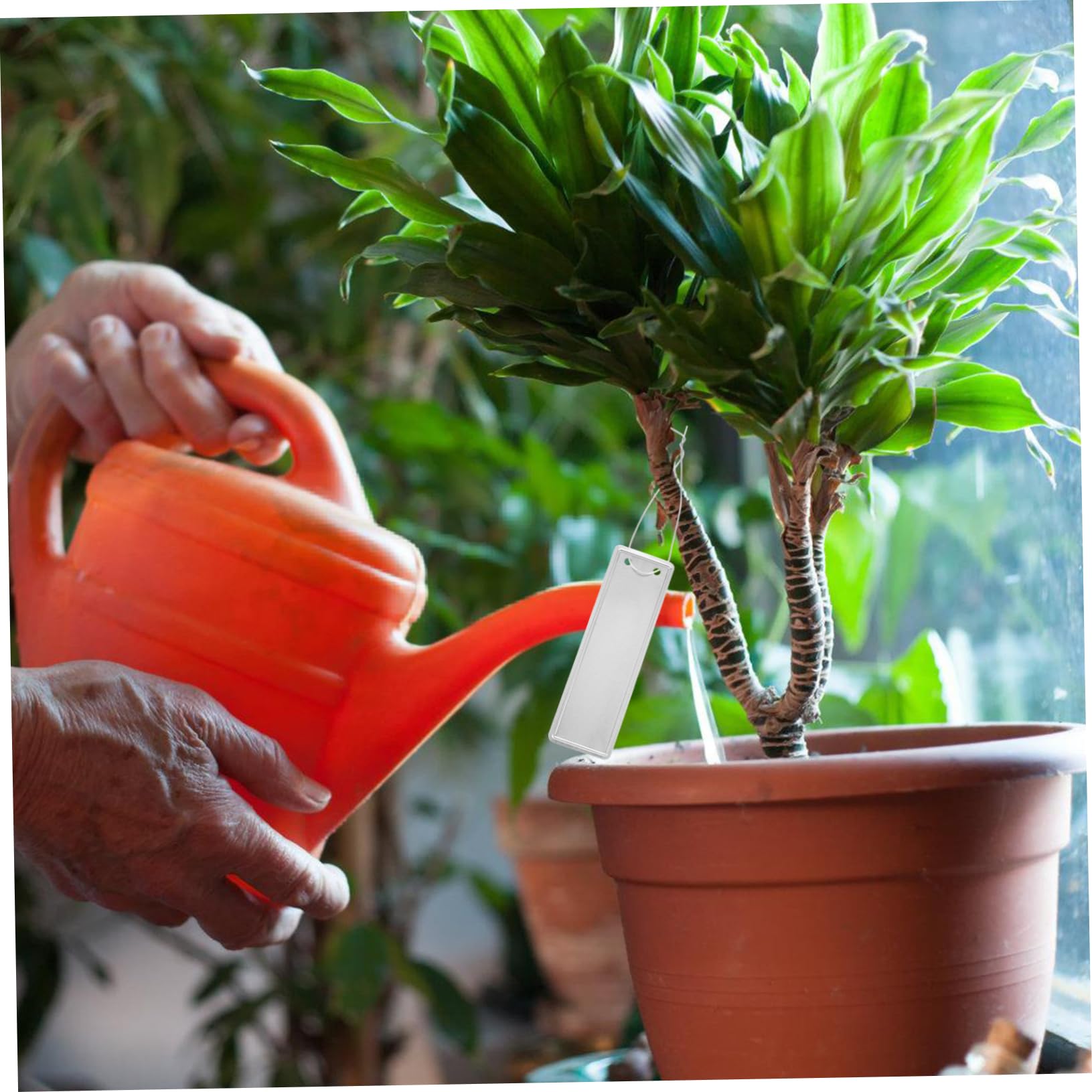 YARNOW 150pezzi Etichette Per Piante Alluminio Da Riutilizzabili e Impermeabili Per Giardinaggio e Identificazione Piante Design Moderno e Facile Da Scrivere