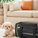 Pet Carrier - Airline Approved Cat and Dog, Carrier with Locking Safety Zippers and Anti-Scratch,Expandable(11.8" L×(18+2.77)" W×(9+3.9)" H), Comfortable, Durable Dog Travel Bag (Black)