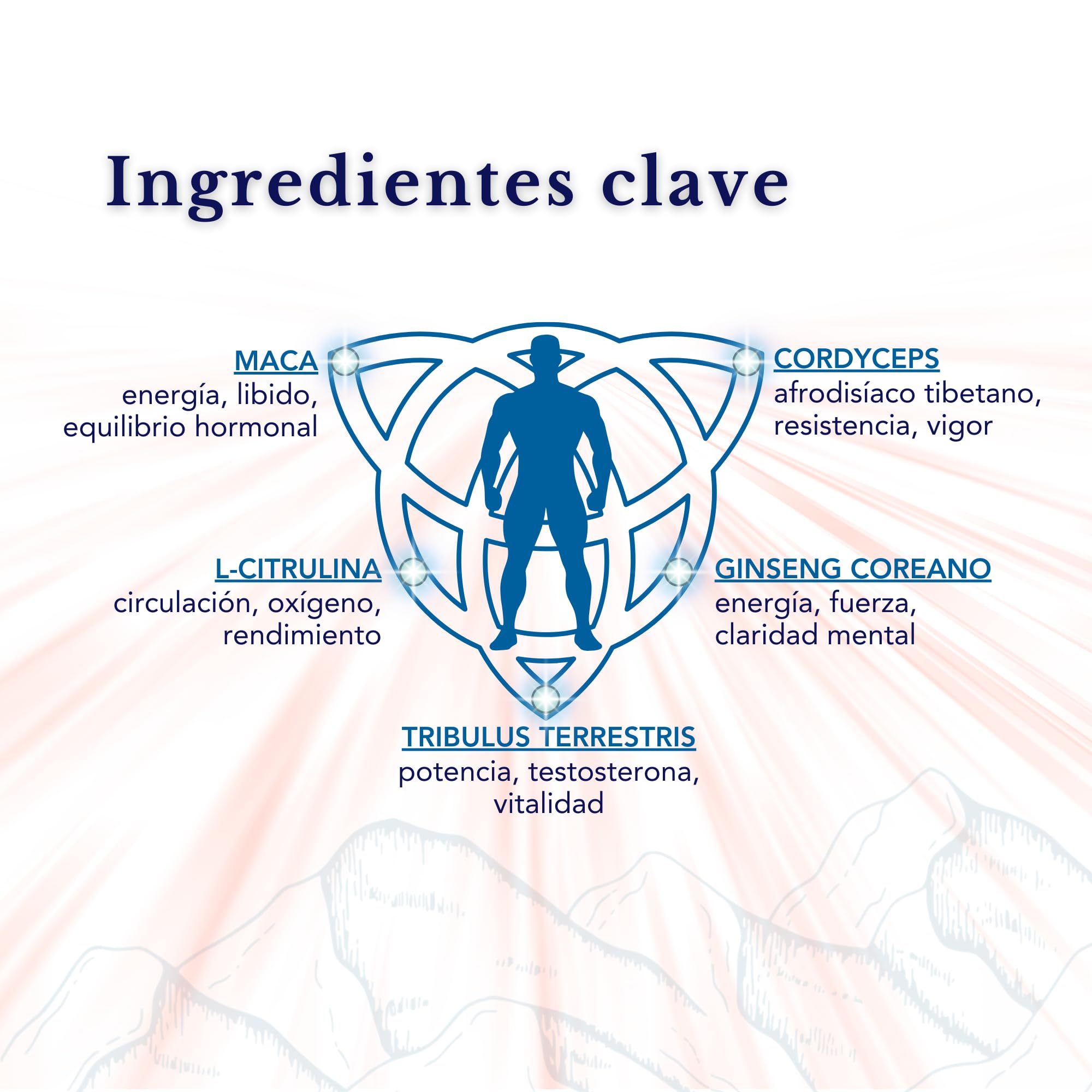 Tribulus Maca L Citrulline Cordyceps Ginseng Suplemento Vitalidad Física Mental 28 Dosis