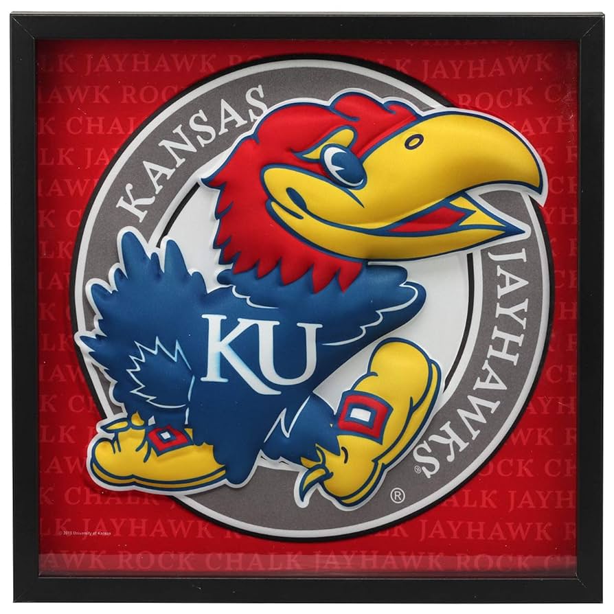 カンザス大学　ジェイホークス　バスケットボール　マスコット　キャラクター カンザス大学 ジェイホークス バスケットボール マスコット