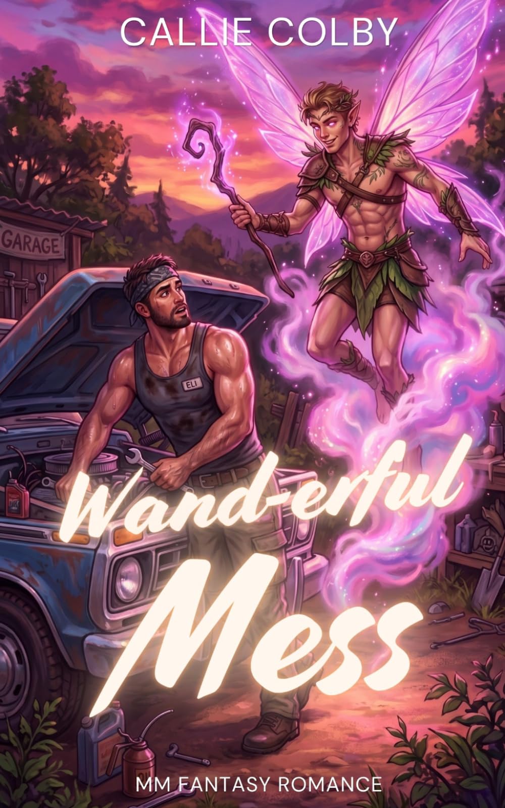 Wand-erful Mess: MM Fantasy Romance (Wings & Whispers)