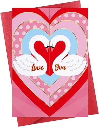 D4DREAM Divertida tarjeta de aniversario para él, su marido, esposa, cisne, amor, tarjeta del día de San Valentín para novio, novia, en forma de D4DREAM Divertida tarjeta de aniversario para él, su marido, esposa, cisne, amor, tarjeta del día de San Valentín para novio, novia, en forma de