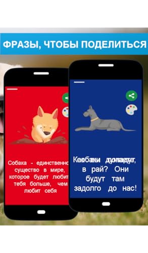 Dogstat - Frases para o seu animal de estimação compartilhar