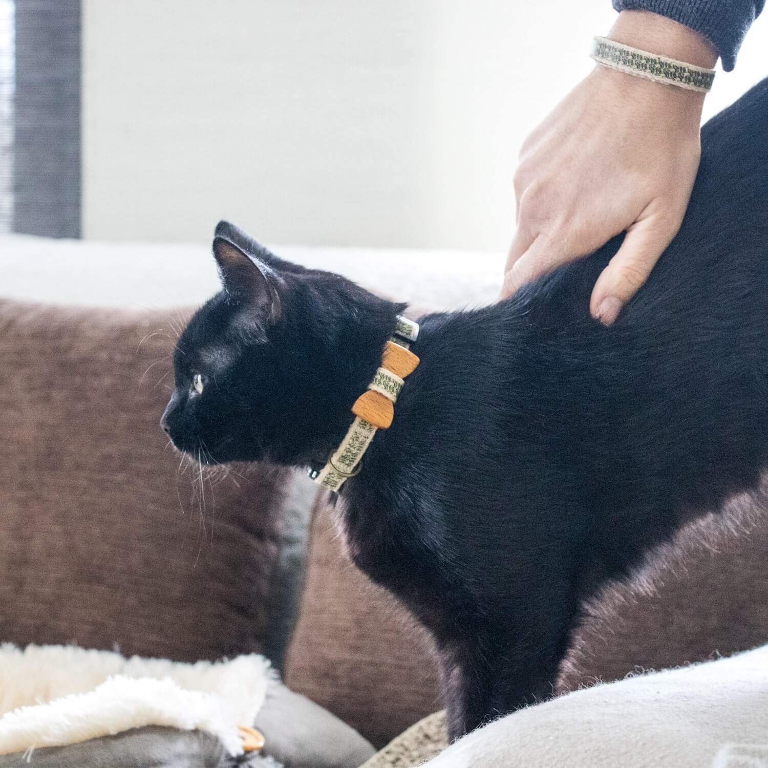Pettsie collare di sicurezza per gatti con papillon e braccialetto dell'amicizia per te, 100% cotone resistente per una maggiore sicurezza, anello a D per accessori (20,3-28 cm)