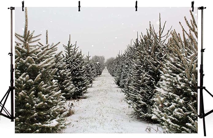 Photo Backgrounds Avezano Hiver Noel Phtographie Arriere Plan Neige Pin Arbre Bebe Anniversaire Portrait Decor Toile De Fond Photocall Photo Studio Shoot 7x5ft Amazon Co Uk Electronics Photo