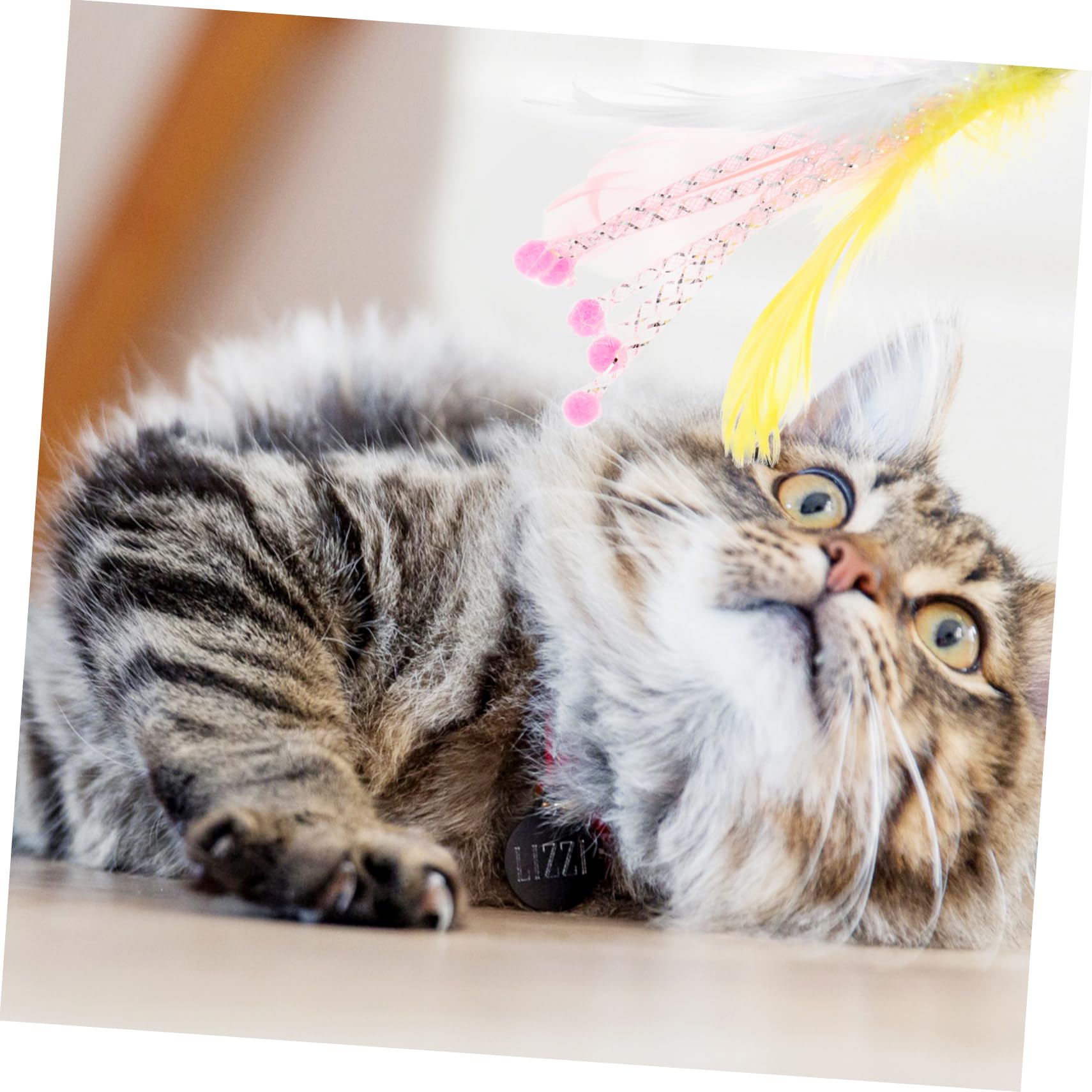 Toddmomy 24pièces Canne à Plumes pour Chats Recharges De Jouets Interactifs avec Cloches Accessoire De Jeu pour Chats Intérieur Et Extérieur