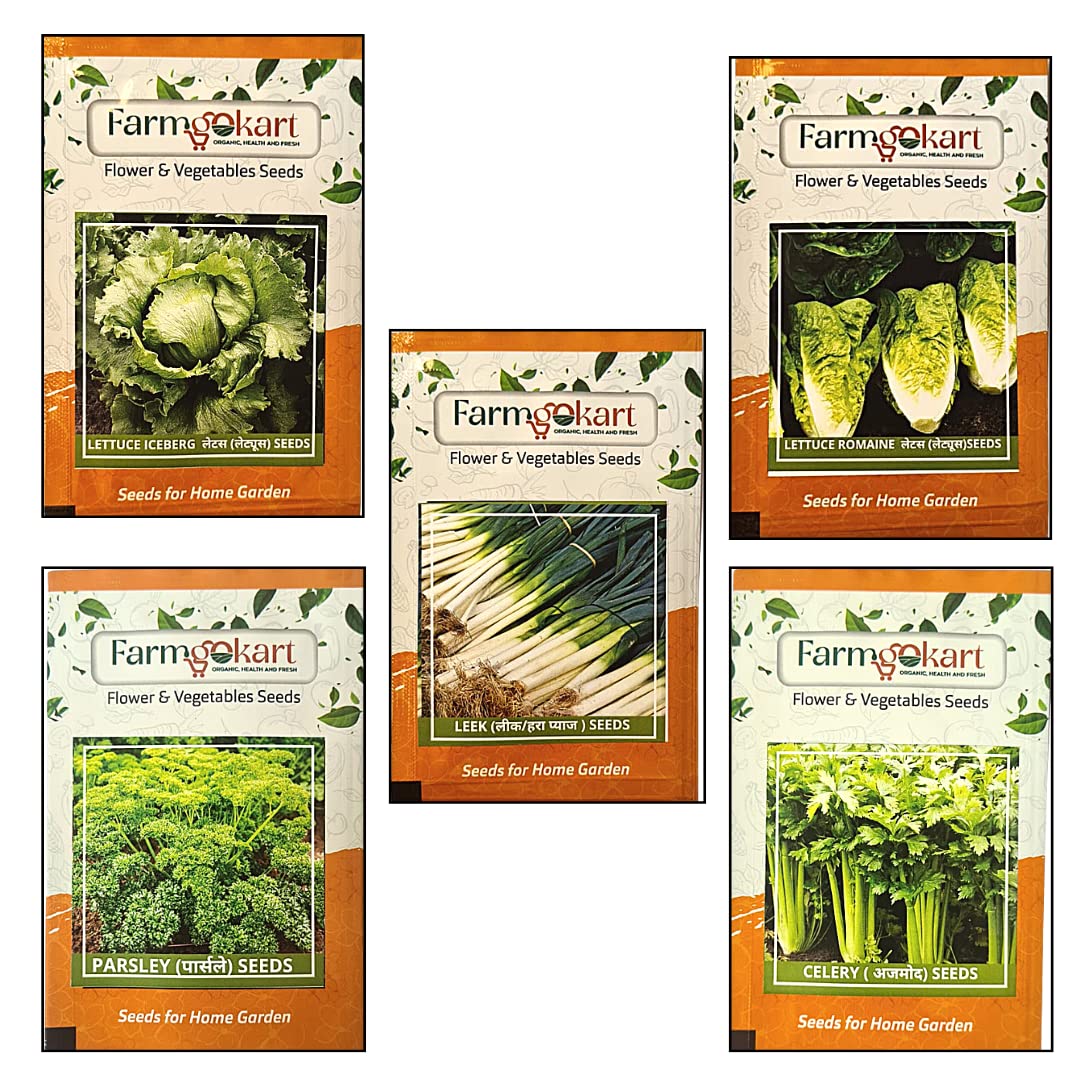Farmgokart Combo Seed Pack Of 5 : Exotic Leafy Vegetable Seeds For Growing At Home And Kitchen Garden ( Lettuce Ice Berg Seed+ Lettuce Romain Seeds + Celery Seeds + Leek Seeds + Parsley Seeds) (B09N2LMF33) Amazon Price History, Amazon Price Tracker