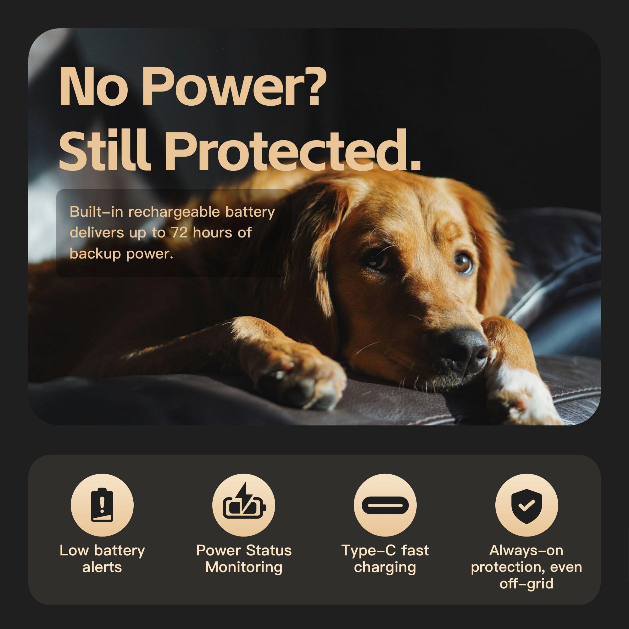 4G Cellular Temperature Monitor for RV Pet Safety with Real-Time Alarm — Amazon image 9