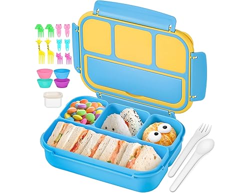 Best Lunch Box for Toddlers 1-3: Safe, Convenient, and Fun