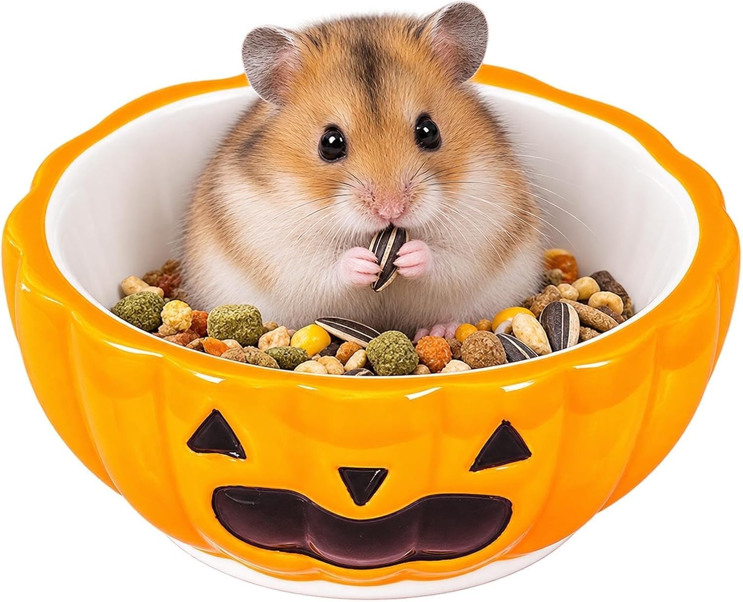 Ceramic Pumpkin Hamster Hideout House 4-in-1 Set，Feeding