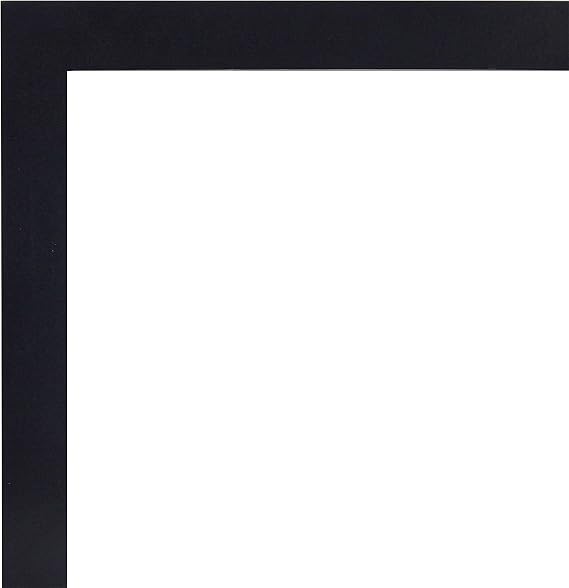 MCS Wood Float Frame, 16x20, Black