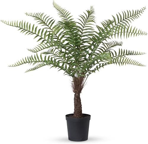 Miniatura 1 de Park Hill Collection Helecho gigante en maceta de cultivadores con acabado verde EBQ26090