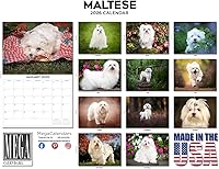 Vista 662 de Razas de Perros 2017