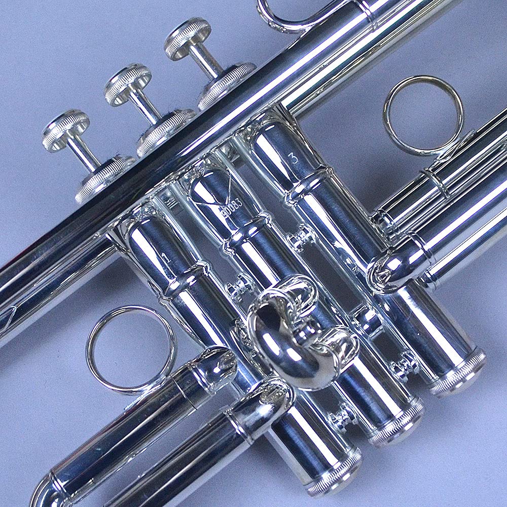 Amazon.co.jp: Festi FTR-800S Trumpet Festival : Musical Instruments