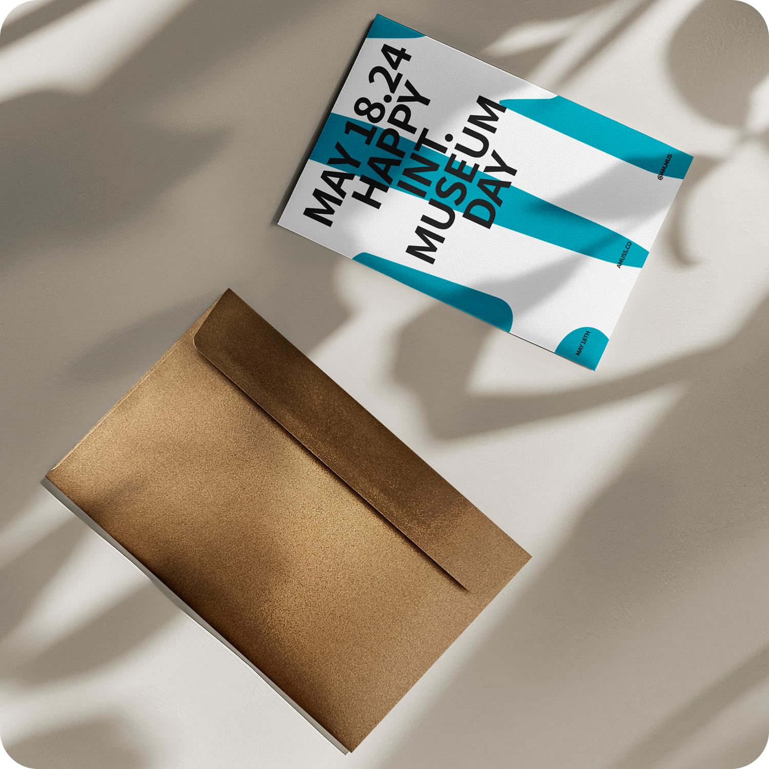View 5