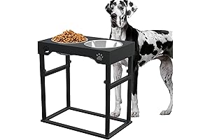 Elevated Great Dane Food Bowl Stand