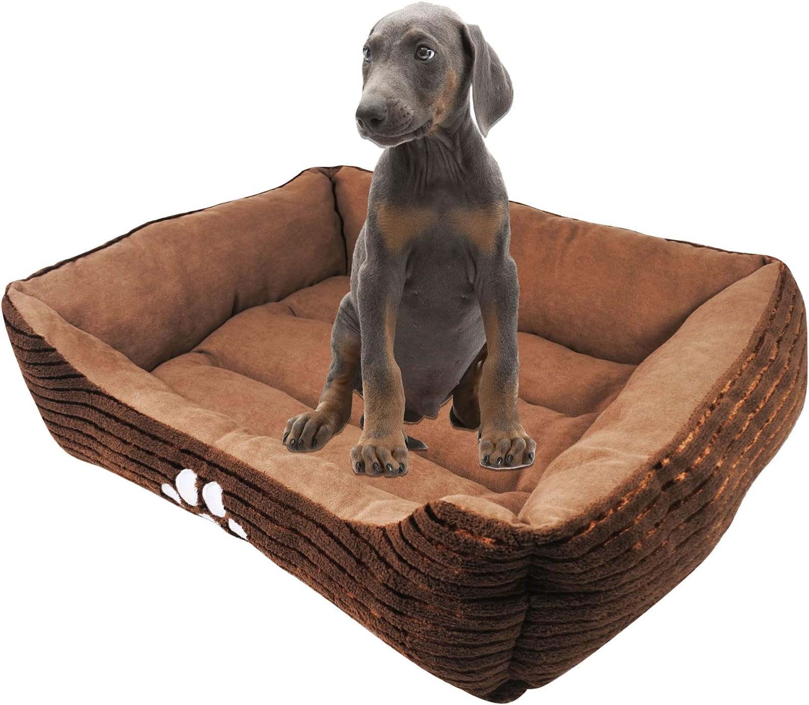 long rich Reversible Rectangle Pet Bed with Dog Paw Printing Medium, New Coffee, by Happycare Textiles