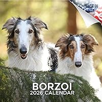 Vista 79 de Razas de Perros 2017