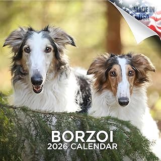 2025 2026 Borzoiカレンダー - 犬種マンスリー壁掛けカレンダー - 12インチ x 24インチ 開いた - 厚手で血が出ない紙 - ギフト - アカデミックティーチャーズプランナーカレンダーの整理と計画 - 米国製