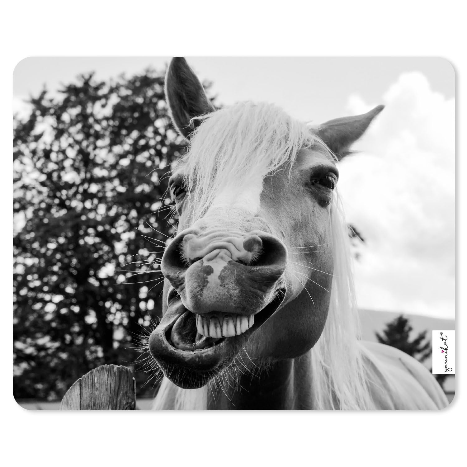 younikat Mauspad lustiges Pferd I 24 x 19 cm I Mousepad in Standard-Größe I Qualitätsdruck auf Zellkautschuk I rutschfest wasserfest und abwischbar I für Notebook PC Fun I dv1267