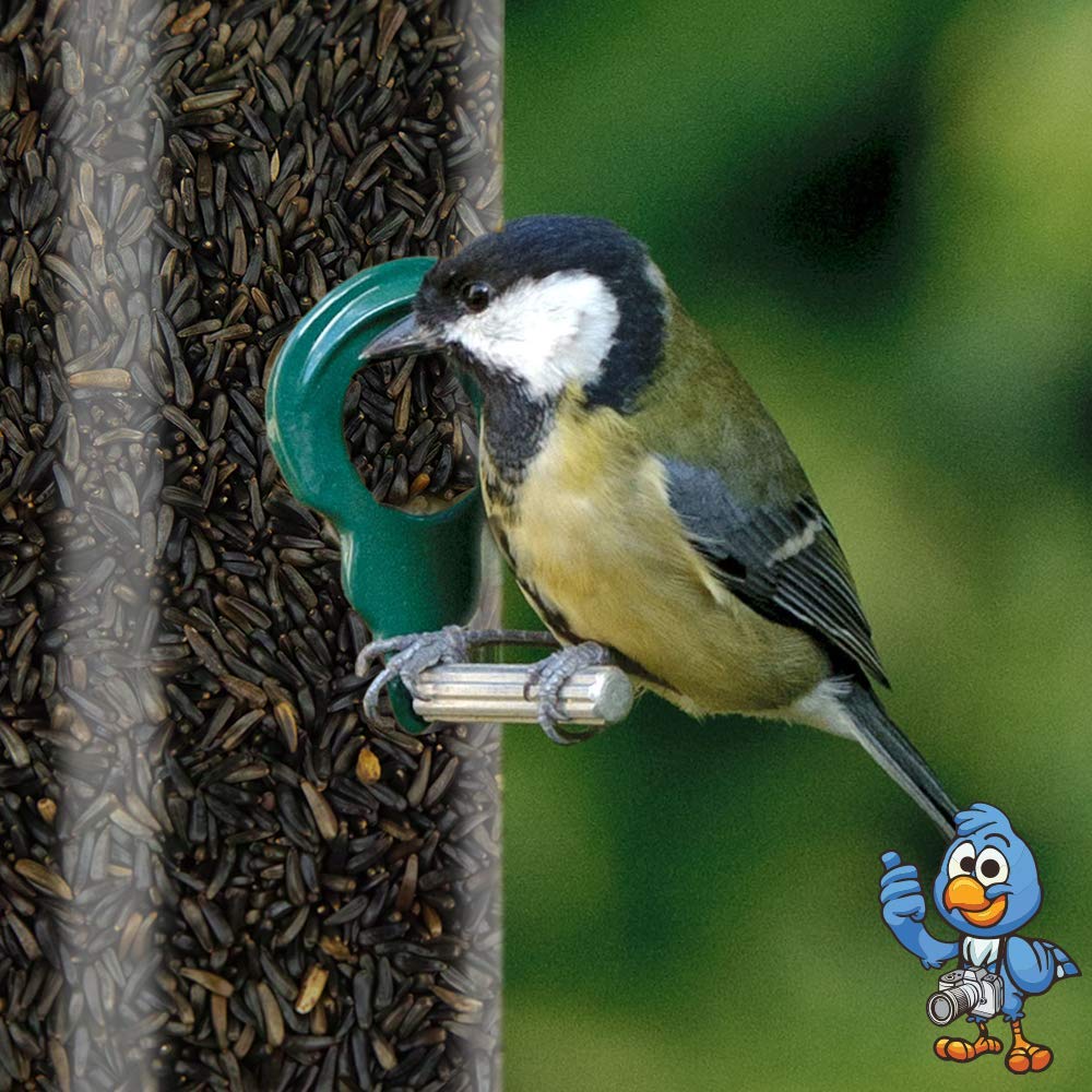 Semillas de Níger BusyBeaks - Alimento de Alta energía y Calidad para Aves Silvestres de jardín y pinzones (15kg)