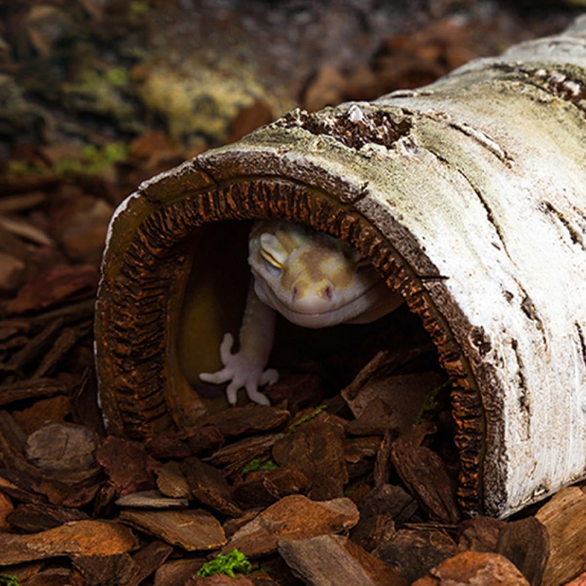 Tronc D’Arbre D’Aquarium Décoratif en Résine, Abri Sûr pour Reptiles