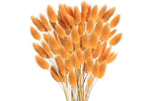 Dried Lagurus by XHXSTORE: Adorn Your Home with Autumn Vibes