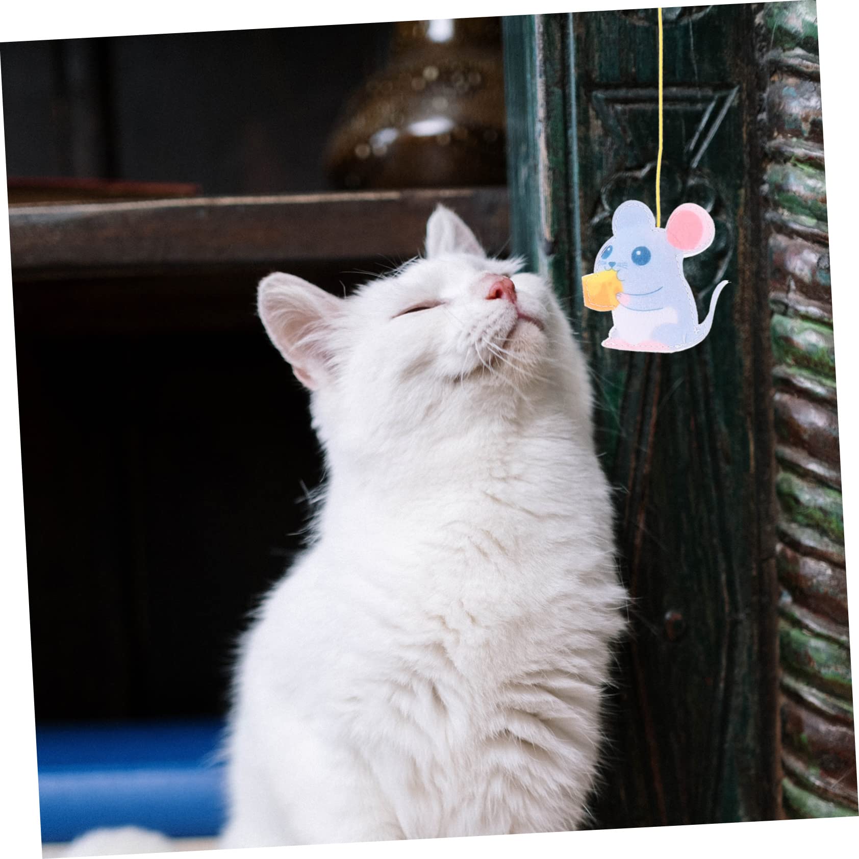 POPETPOP 12stücke Teiliges Interaktives Katzenspielzeug Katzenangel Und Bungee-Seil Selbstunterhaltung Für Kätzchen Federn Geräuschspielzeug Und