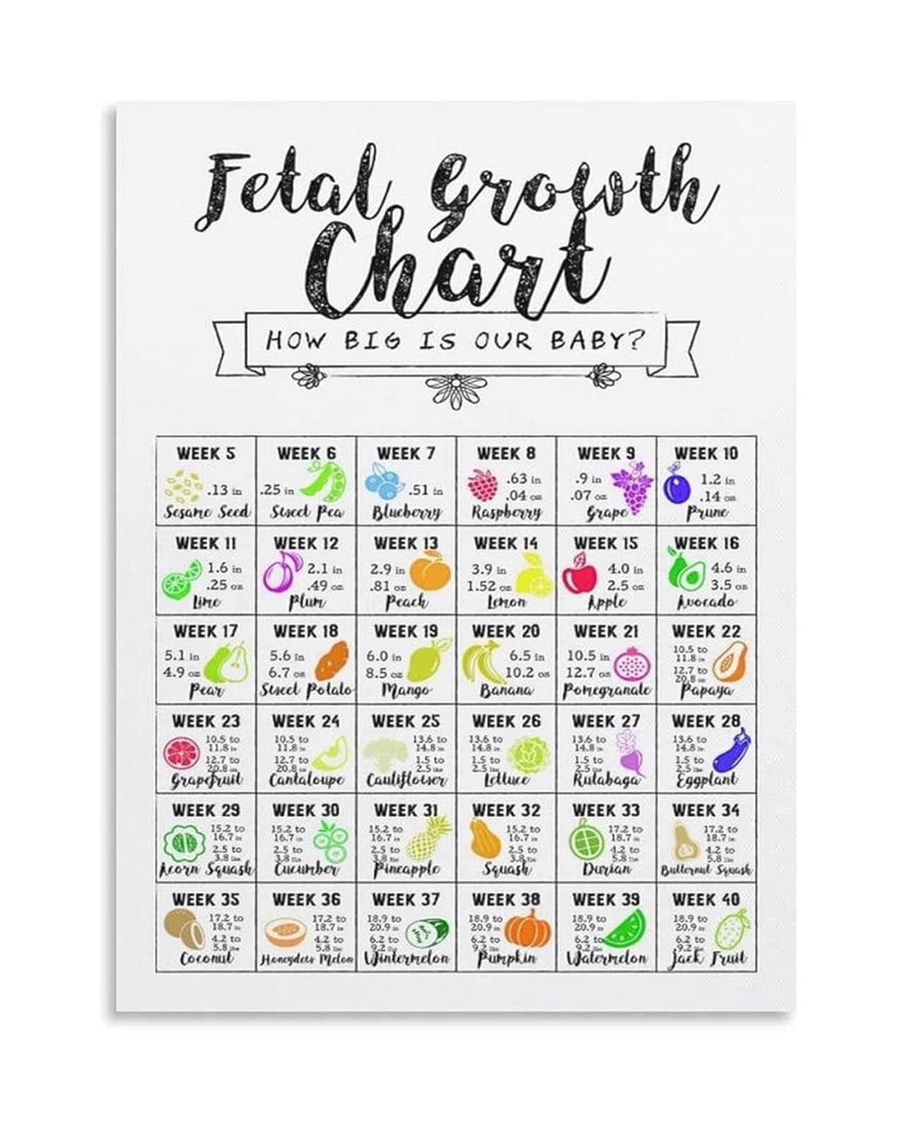 FOPURE Week By Week Fetal Growth Chart Poster Size Pregnancy Milestones Wall-Art Nursery Decor For Parents(Unframed,16x24inch(40x60cm))